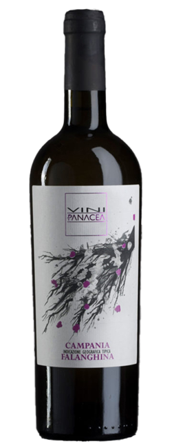 Vini Panacea Campania Falanghina  bottle