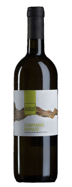 Vini Panacea Campania Bianco bottlele
