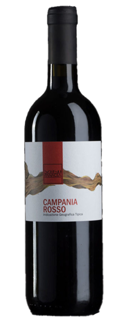 Vini Panacea campania rosso bottle